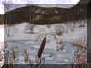 etang hiver.jpg (325710 octets)