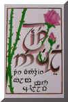 rose.jpg (655795 octets)