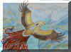 aigle2.jpg (2164085 octets)